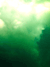 _/green